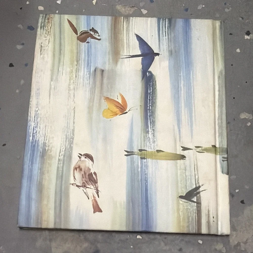 More‎ to Collect and Paint from Nature By John Hawkinson 1969 Illustrated